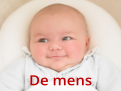 De mens